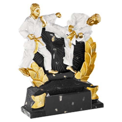 Trofeos Resina Karate 21913