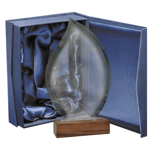 Galvano Cristal con Base de Madera BLAS 55