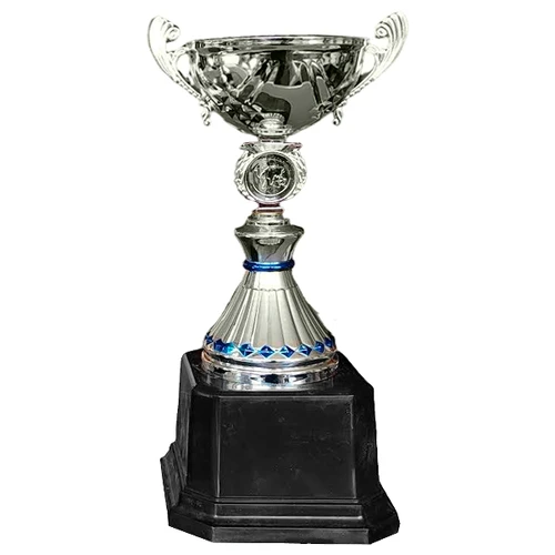 Copa VIC