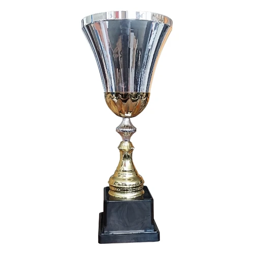 Copa CRI 10a