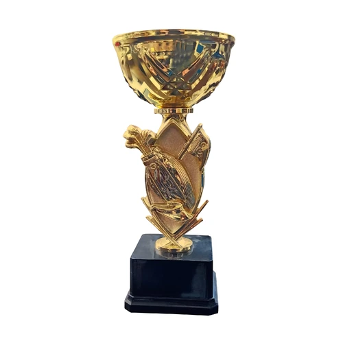 Copa GOLF10